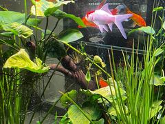 -贵州人家·酸汤火锅·20年老字号
