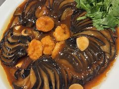 -燕春楼(海河华鼎店)