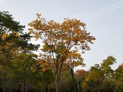 -钟山体育运动公园