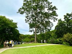 -中国科学院西双版纳热带植物园