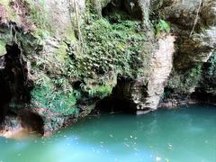 -怀托摩萤火虫洞