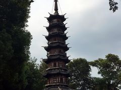 -上海佘山国家森林公园西佘山园