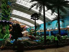 -望儿山温泉水乐园