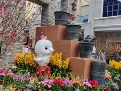 -越秀西湖花市(广州城市广场花卉店)