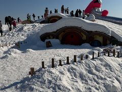 -绿野森林乐园冰雪季