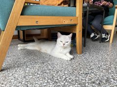 -她说户外烧烤团建(西湖店)