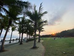 -深圳湾公园(南山区)