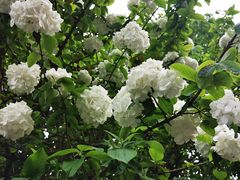 -白塘生态植物园