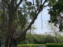 -鸿山公园