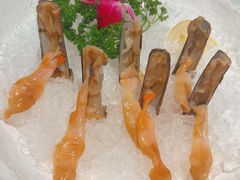 -纯味斑鱼府(中海环宇荟店)
