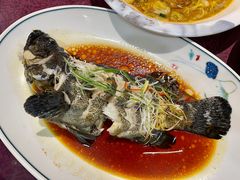 清蒸老虎斑-大众海鲜(巨龙北路店)