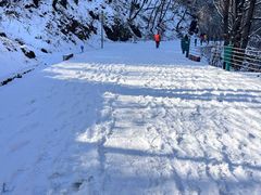 -陕西省红河谷森林公园