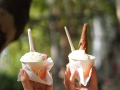 -Dip in Gelato(富民路店)