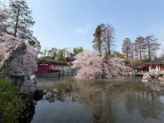 -东湖落雁景区