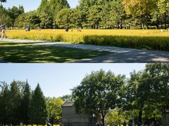 -北坞公园