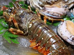 -白仁仔· 活烤海鲜 宵夜(豫园店)