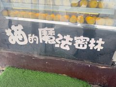 -猫的魔法密林(衣裳街店)