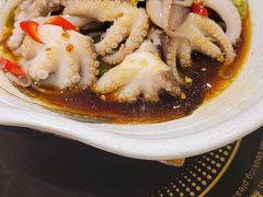 捞汁小章鱼-金豆角砂锅焖面(安贞店)