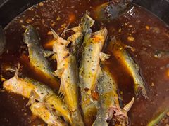 -金海椒罐罐鲢鱼(东方桂苑店)