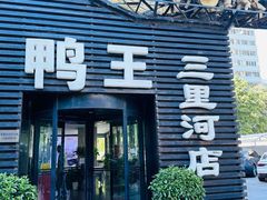 -鸭王烤鸭店(三里河店)