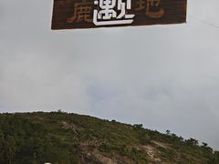 -大罗山风景区