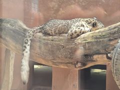 -青藏高原野生动物园