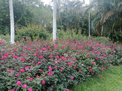 -人民公园(罗湖区)