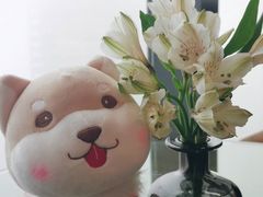 -无锡苏宁JW万豪酒店-大堂酒廊