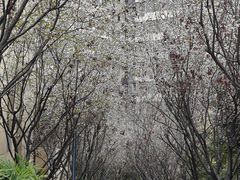 -Nirvana Cafe&Bar(北仓文创街区店)