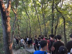 -紫金山山顶公园