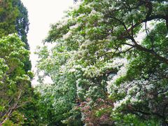 -国家植物园南园