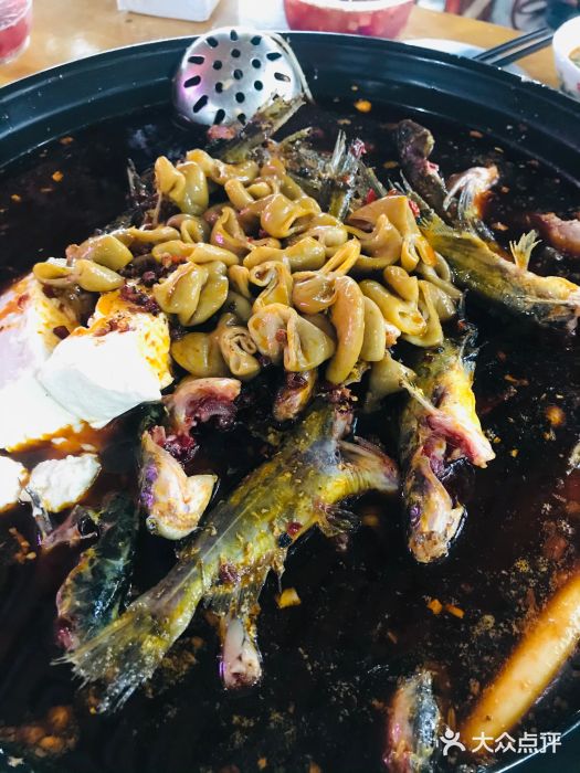 金海椒罐罐鲢鱼(东方桂苑店)图片