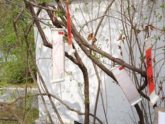 -沈阳植物园