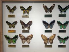 -上海昆虫博物馆