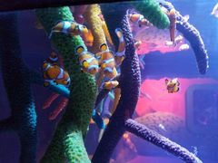 -沈阳海洋探索中心