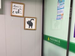 -半岛宠物医院24小时(科华中路店)