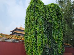 -北京市劳动人民文化宫(太庙)