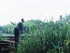 -新江湾城公园