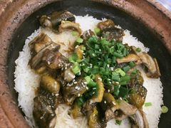 -红星光发煲仔饭(大石街店)