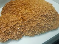 -墨尔本博物馆(Melbourne Museum)