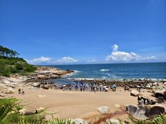 -广东惠东海龟国家级自然保护区