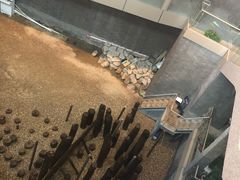 -元代水闸遗址博物馆