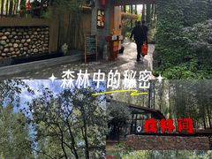 -林间山庄
