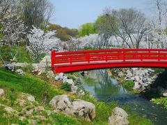 -羊山湖公园