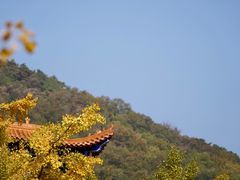 -遵化市禅林寺古银杏风景园