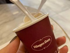 -哈根达斯(深圳海岸城店)