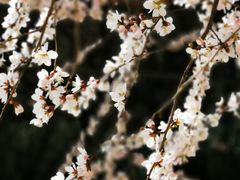 -奥体中心(地铁站)