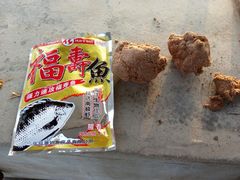 -特种渔场