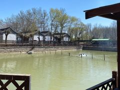 -尚庄度假村·庭台树下·户外烧烤·团建CS·轰趴营地(上庄水库店)