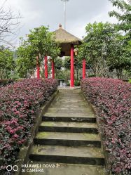 -南海地球村生态亲子乐园
